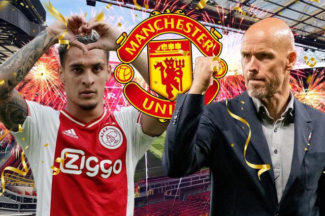 将显著增加 将显著增加