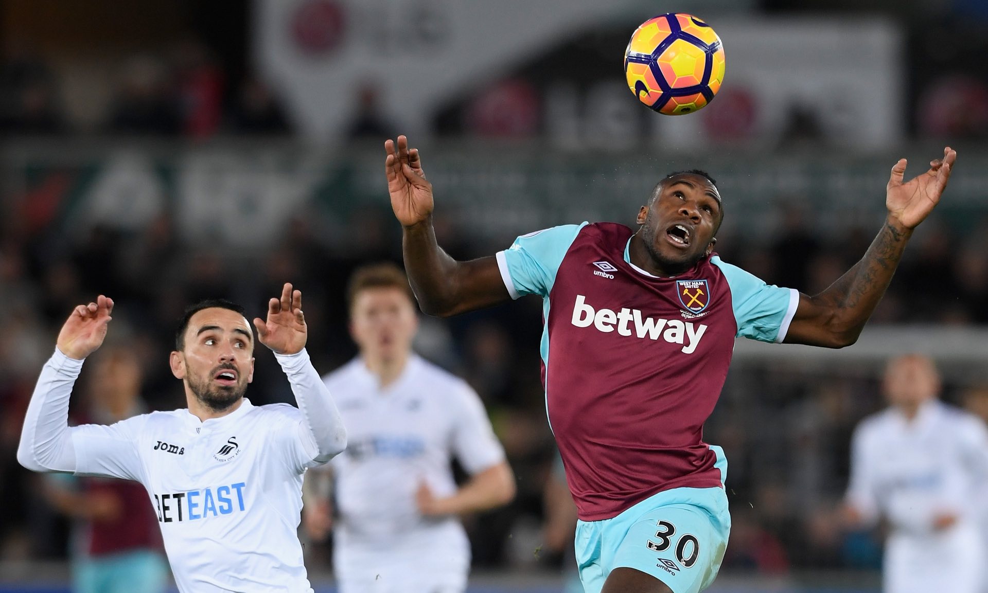 业生涯的新 业生涯的新